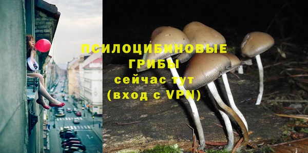 apvp Алексин