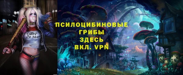 шишки Алексеевка