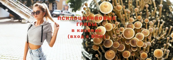 mdpv Алзамай