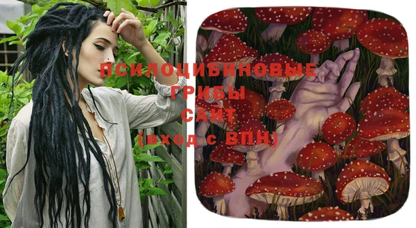 шишки Алексеевка